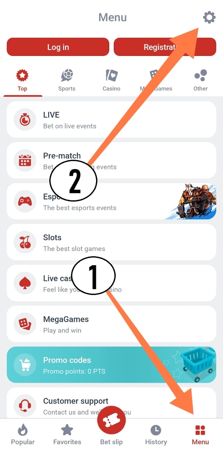 اعدادات تطبيق megapari