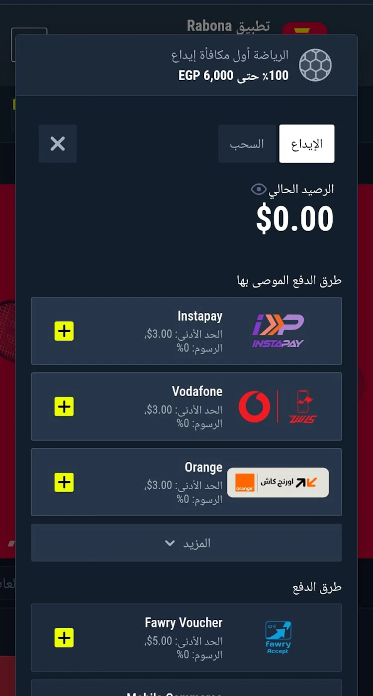 طرق الدفع في برنامج رابونا مصر