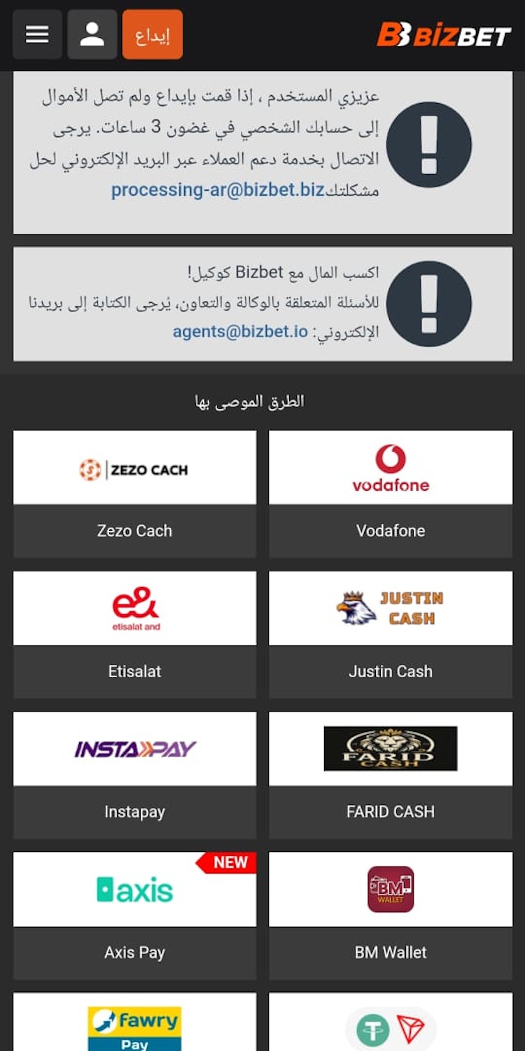 طرق شحن bizbet مصر