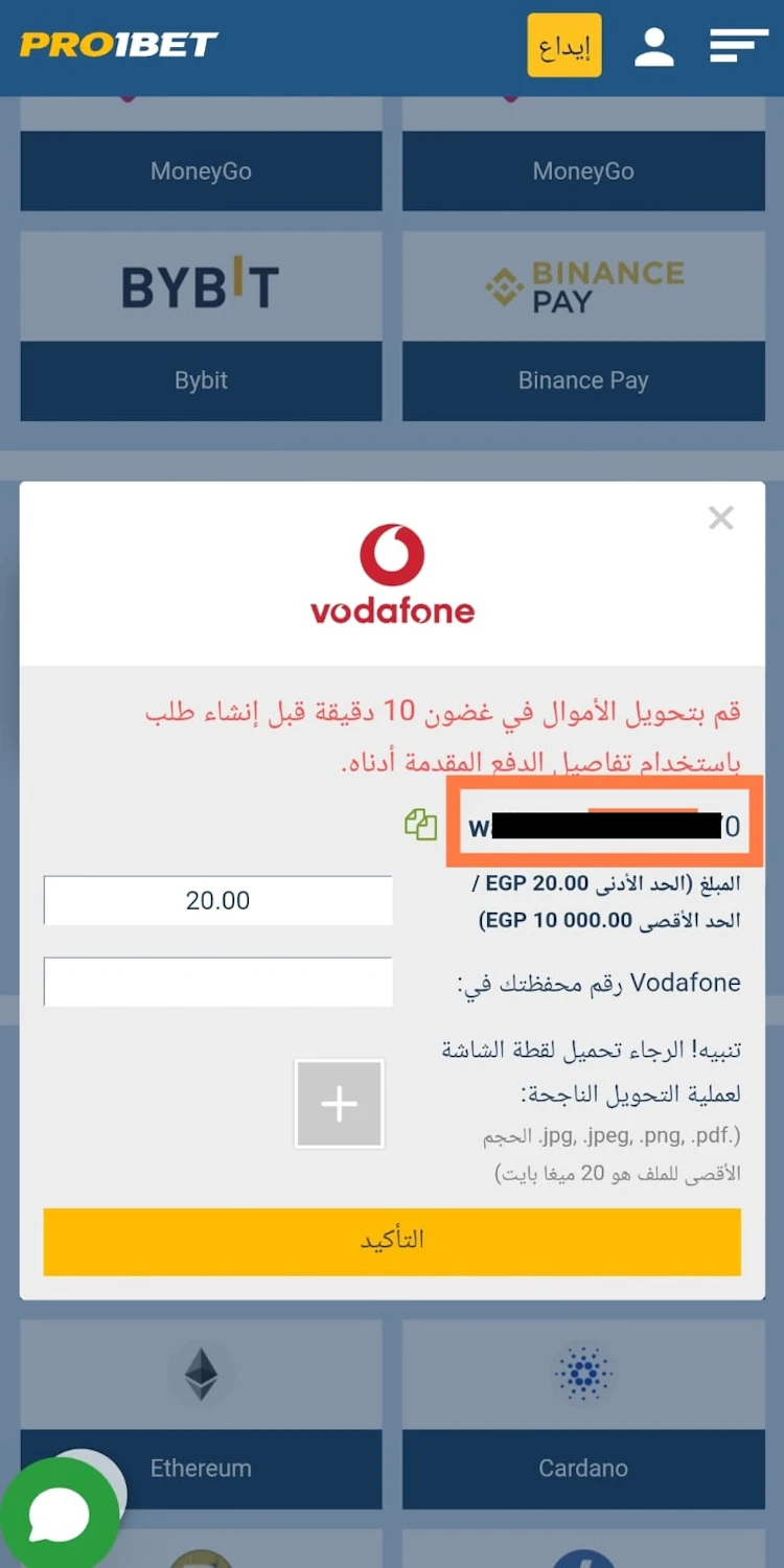 رقم محفظة شحن pro1bet