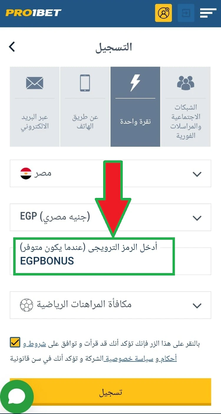 بروموكود pro1bet