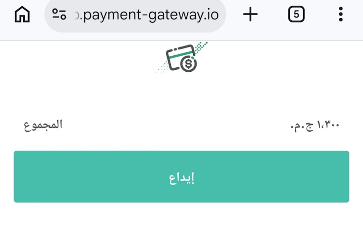 بوابة الدفع رابونا مصر