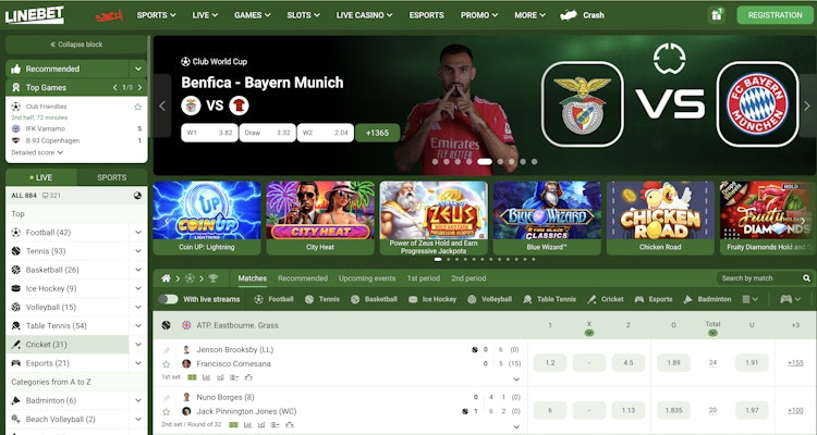 linebet interface