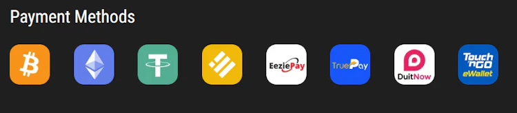 12Play payment methods including Bitcoin, EeziePay, TruePay, DuitNow and Touch 'n Go eWallet