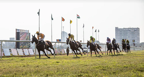 Horse Racing Calendar 2026: Key Dates for Sports Betting Fans