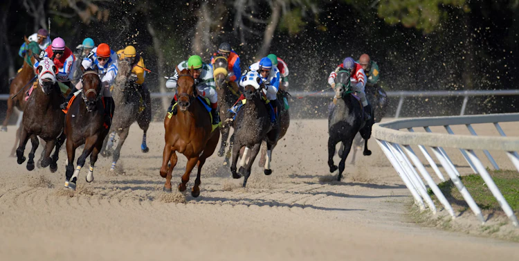 A tightly packed field of racehorses and jockeys in colorful silks sweeping around a bend