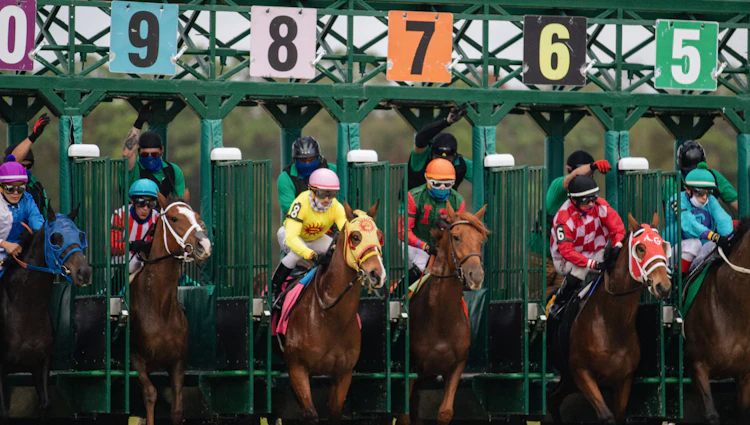 Racehorses breaking from numbered green starting stalls with jockeys in bright racing silks