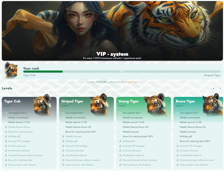 J8DE VIP Program Overview