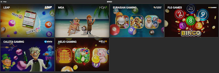 Bingo lobby displays six providers including Leap, MGA, Eurasian Gaming and Caleta