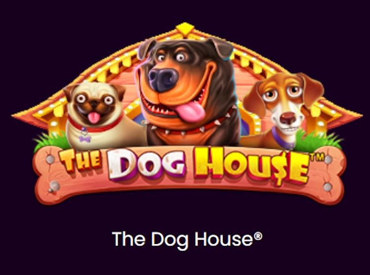 The Dog House is the first slot in the Dog House series of slots from Pragmatic Play