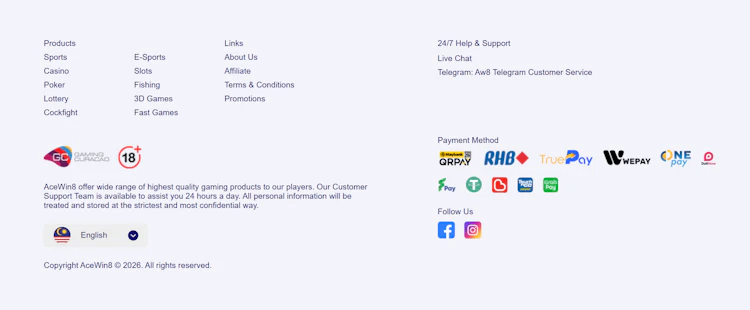 Website footer showing the Gaming Curaçao logo, payment methods and the AceWin8 copyright line