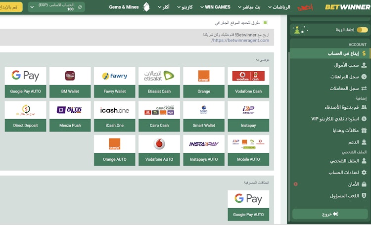 طرق شحن بيت وينر مصر