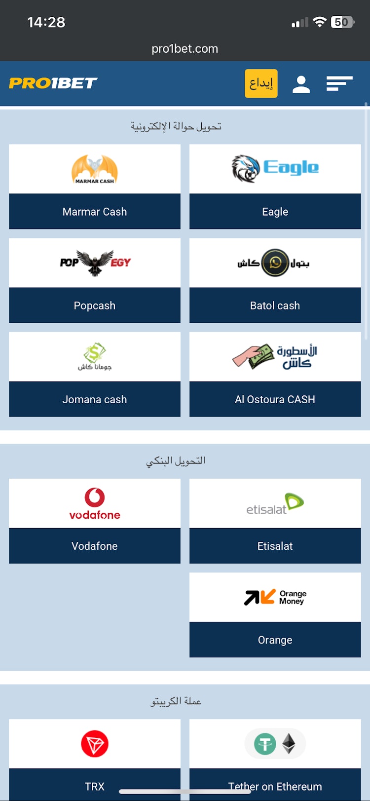 طرق الإيداع في موقع pro1bet مصر