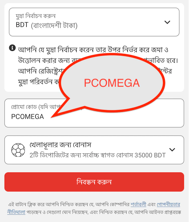  The field where the user enters the promo code