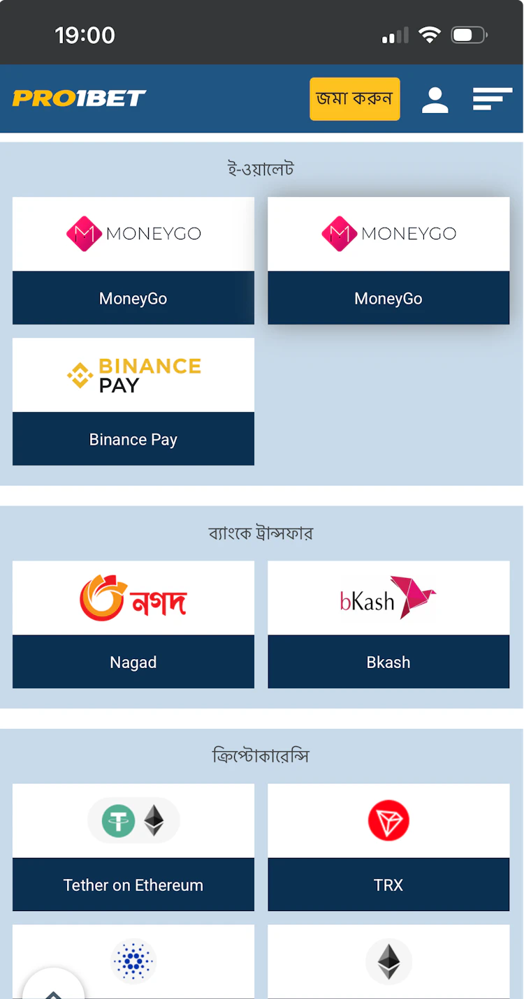  The recommended deposit methods at Pro1Bet shown in icons