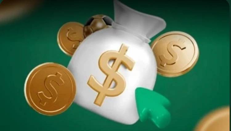  Bag of money showing the wealth in the Promo Code store