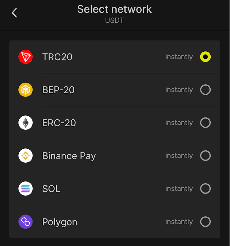 Crypto networks for USDT