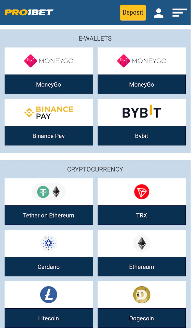 Pro1Bet deposit methods in India, including MoneyGo, Binance Pay and Bybit