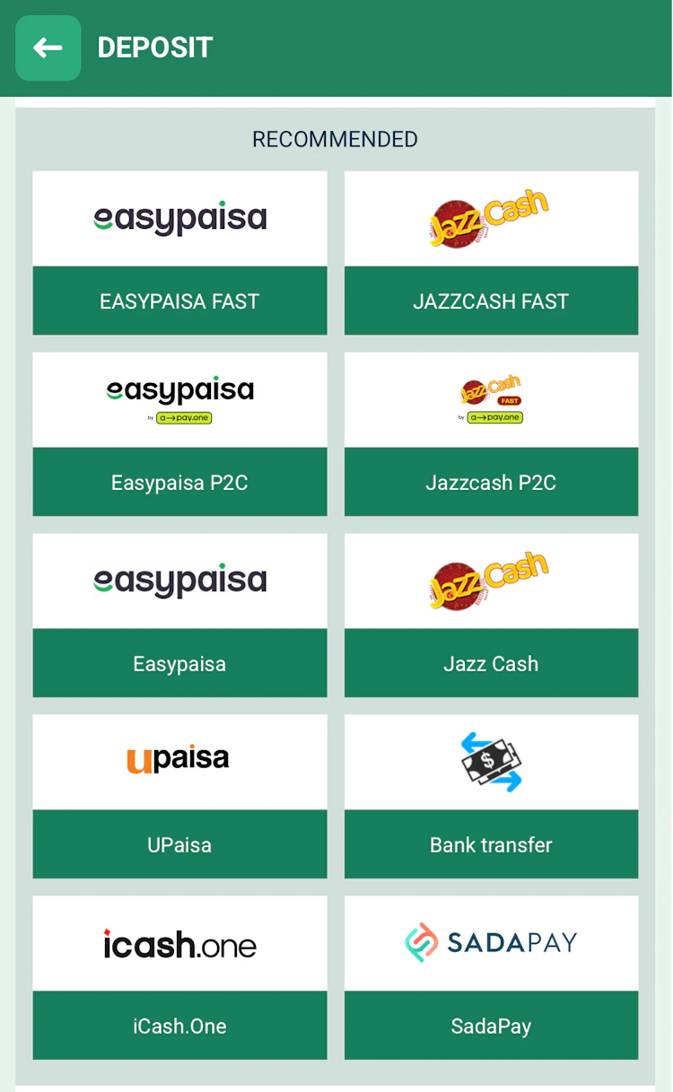  BetWinner recommended deposit methods with icons