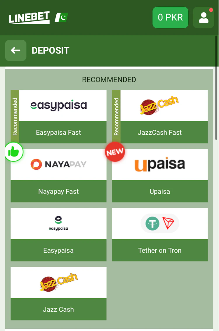  Screenshot of Linebet's recommended deposit methods