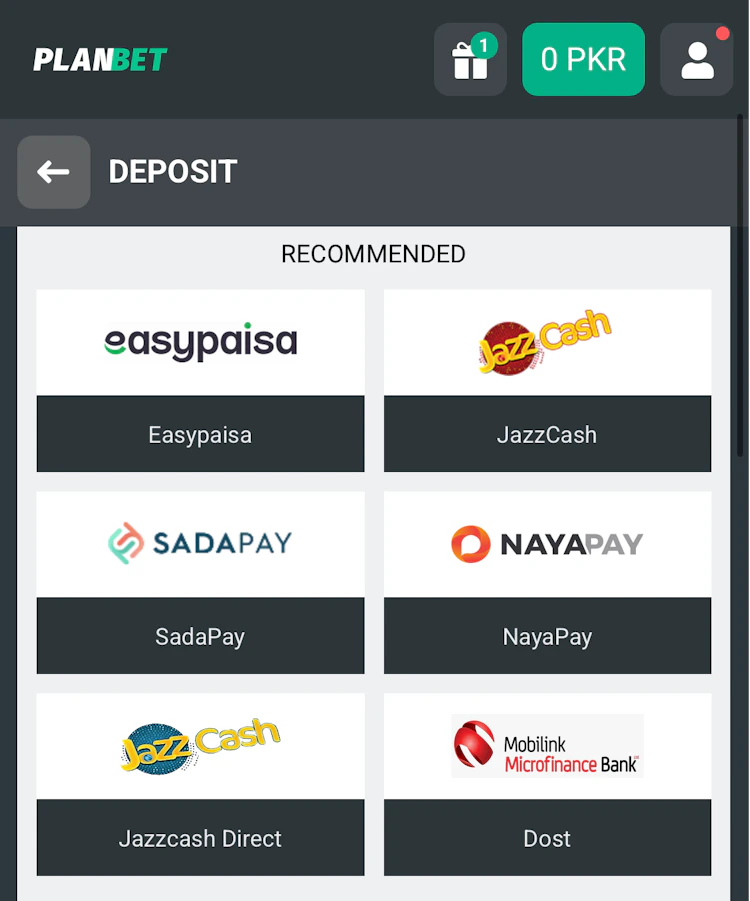  Screenshot of Planbet's recommended deposit methods for Pakistan